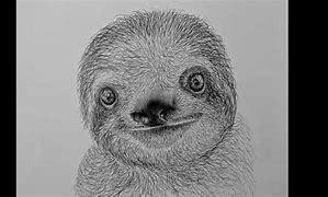 Image result for Sleeping Sid the Sloth Drawings