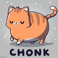 Image result for Chonk Cat Meme