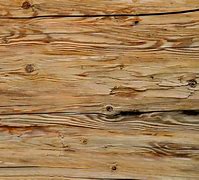 Image result for Pine Wood Grain Texture