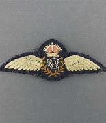 Image result for RCAF Pilot Wings