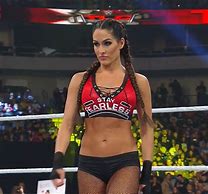 Image result for Nikki Bella WWE Braids