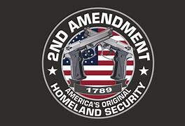 Image result for American Flag Second Amendment