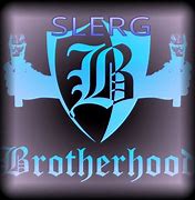 Image result for slerg�logo