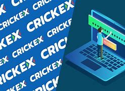 Image result for Crickex Sign