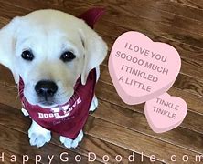 Image result for Funny Dog Valentine Memes
