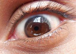 Image result for A Human Eye