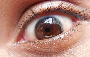 Image result for Real Human Eye