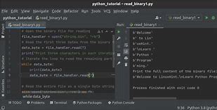 Image result for Binary Encoding Python