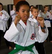 Image result for Types of Karate Classes