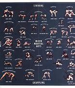 Image result for All Martial Arts