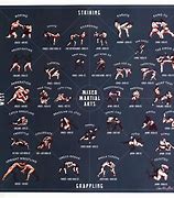 Image result for MMA Styles
