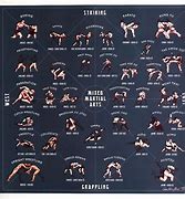 Image result for types of martial arts list