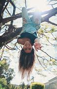 Image result for Hang On the Tree