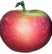 Image result for Bisen Cord Apple