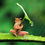 Image result for Galaxy Frog HD