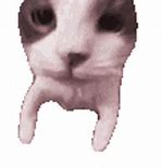Image result for Cat Hug Discord Emoji