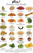 Image result for Dietary Sources of Protein