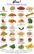 Image result for Protein-Enriched Foods