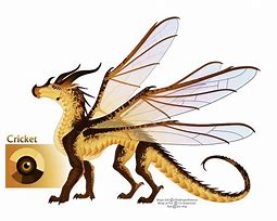 Image result for Wings of Fire Dragons Cricket