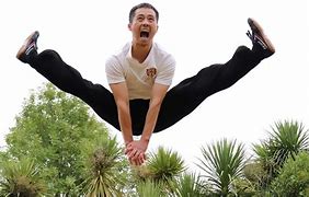 Image result for Kung Fu Kick