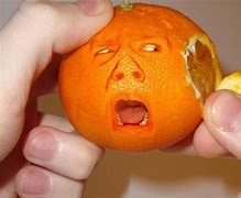 Image result for Funny Orange