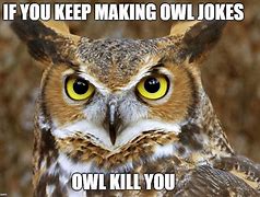 Image result for Owl Humor