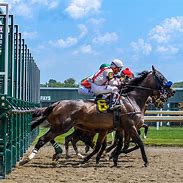 Image result for English Horse Racing