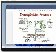 Image result for Note Taking On Surface Pro
