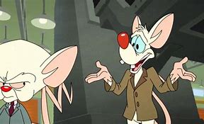 Image result for Animaniacs Pinky and Brain