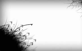 Image result for White Top Wallpaper