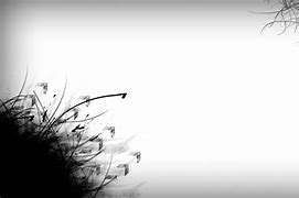 Image result for White Wallpaper for Computer