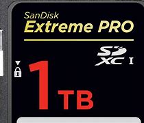 Image result for 1 Terabyte Memory Card