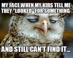 Image result for Owl Text Message Funny