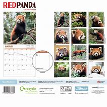 Image result for Giant Panda Calendar 2023