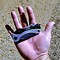 Image result for Fishing Multi Tool