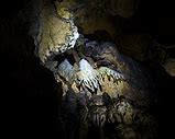 Image result for Bat Cave Home