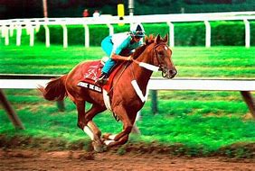 Image result for Thoroughbred Racing Trophy