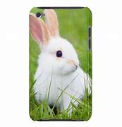 Image result for Cute Rabbit Cases for iPod Touch 4