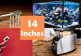 Image result for Objects That Are 14 Inches Long