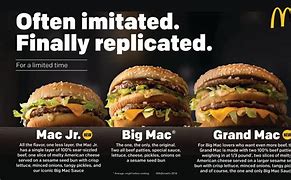 Image result for Biggest Big Mac
