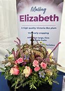 Image result for Plum at Elizabeth Forward