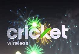 Image result for Cricket Wireless Fryler