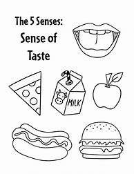 Image result for Coloring Activity for Sense of Taste