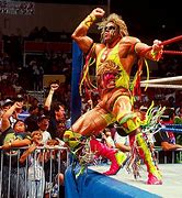 Image result for WWF Fighters