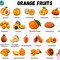 Image result for Similar and Bigger than Oranges