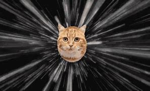 Image result for Flying Cat in Space Meme