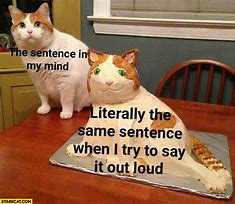 Image result for Funny Meme Sentences