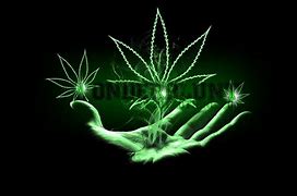 Image result for Gothic Weed Wallpaper