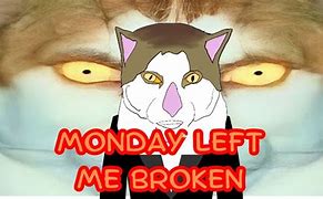 Image result for Love Has Left Me Broken Cat Meme