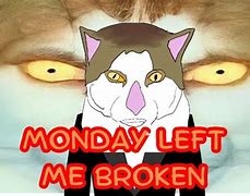 Image result for Broken Cat Meme